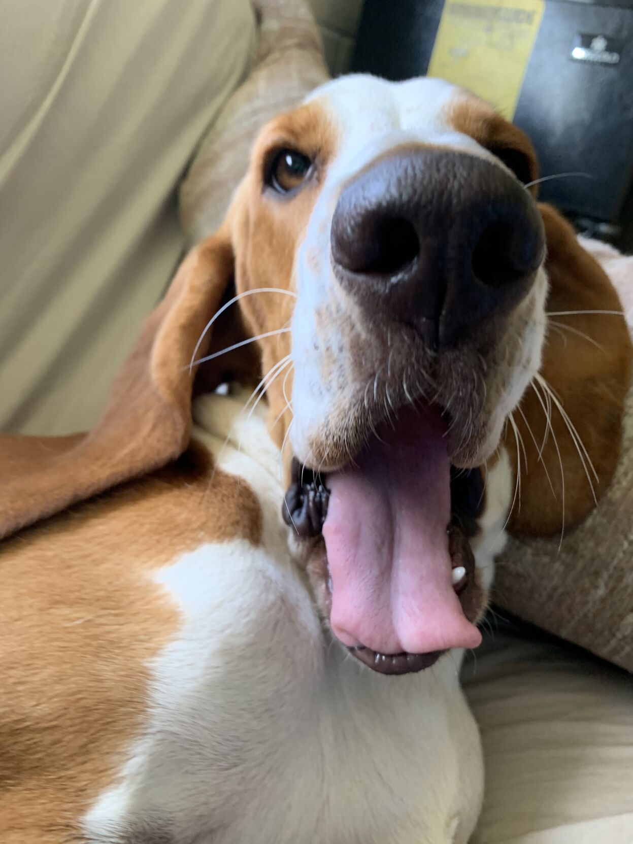 Louise posing